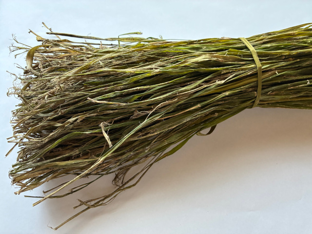 国産大麻（アラソ）端部