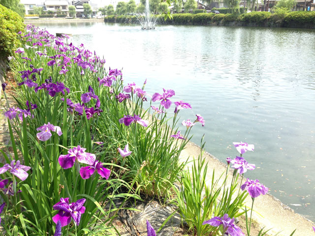 愛媛民芸館（西条藩陣屋跡）