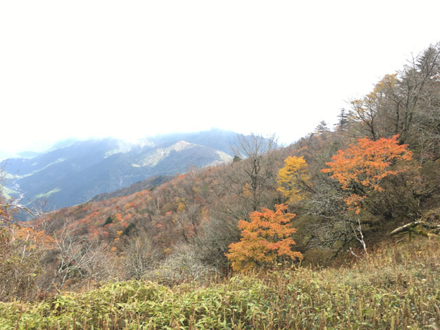 徳島・宝蔵石神社（神麻しめ縄奉納神事）剣山の紅葉