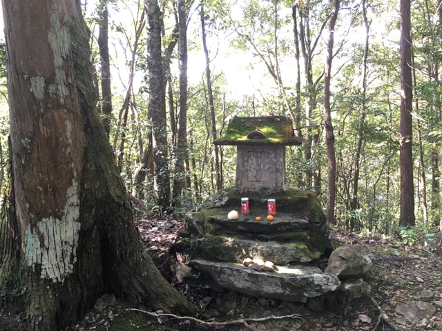 徳島・上一宮大粟神社（大粟山山頂）