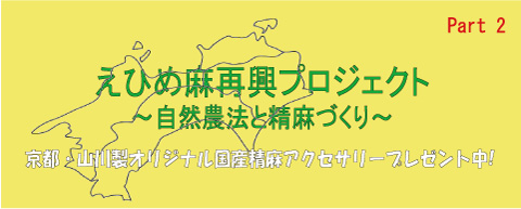 えひめ麻再興プロジェクト（Ehime Hemp Revival Project）～自然農法と精麻づくり～part2